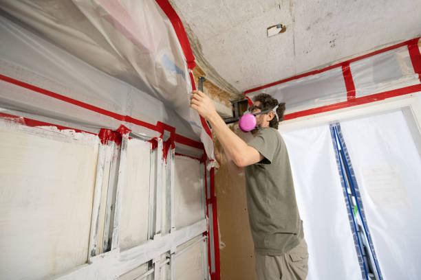 Best Biohazard Mold Removal  in Sebring, FL