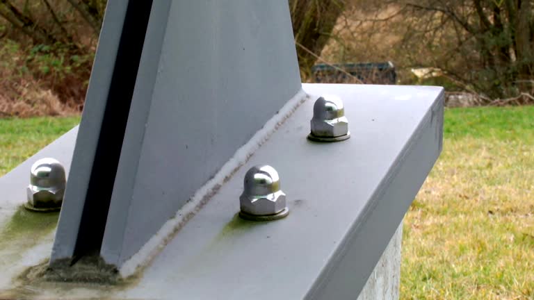 Best Industrial Mold Remediation  in Sebring, FL