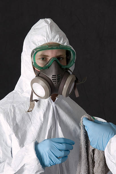 Best Post-Construction Mold Inspection  in Sebring, FL
